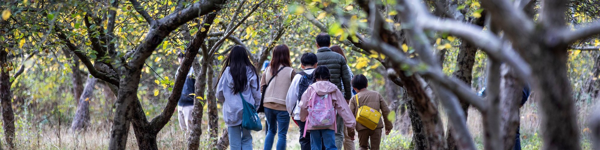 Family walking through orchard trees in autumn