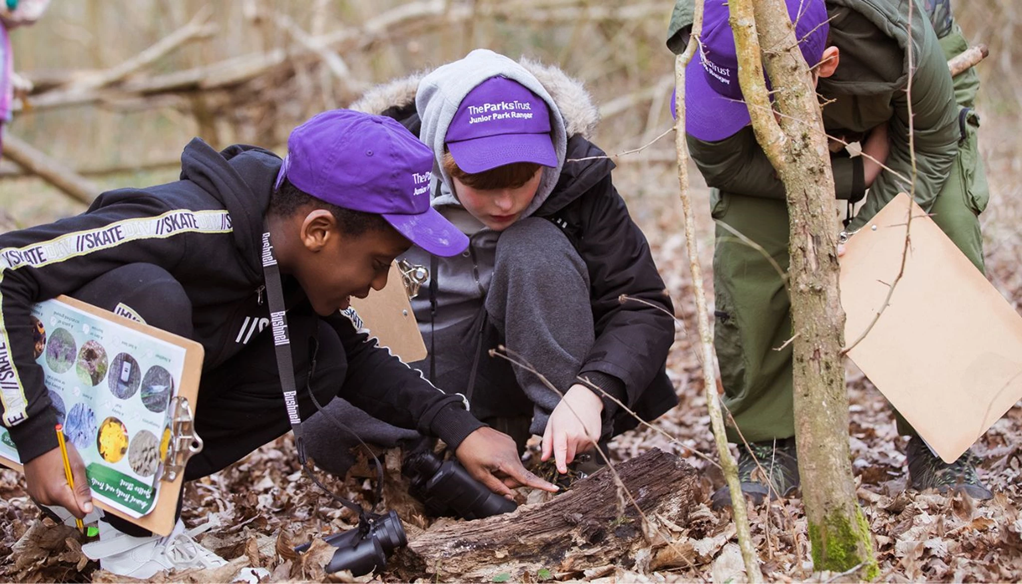 A group of JPRs in purple caps is crouched down looking carefully at a log habitat. They have binoculars round their necks..jpg
