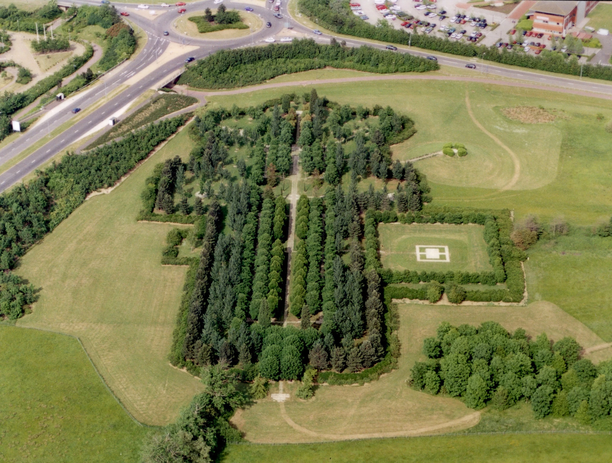 Tree-Cathedral-aerial-view-trees.jpg