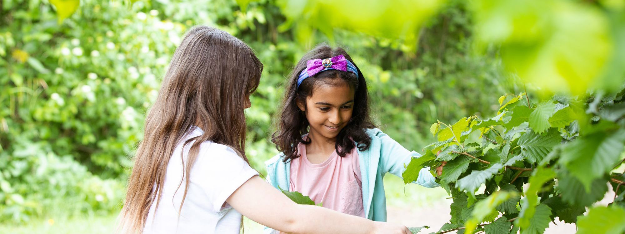 Children identifying tree 