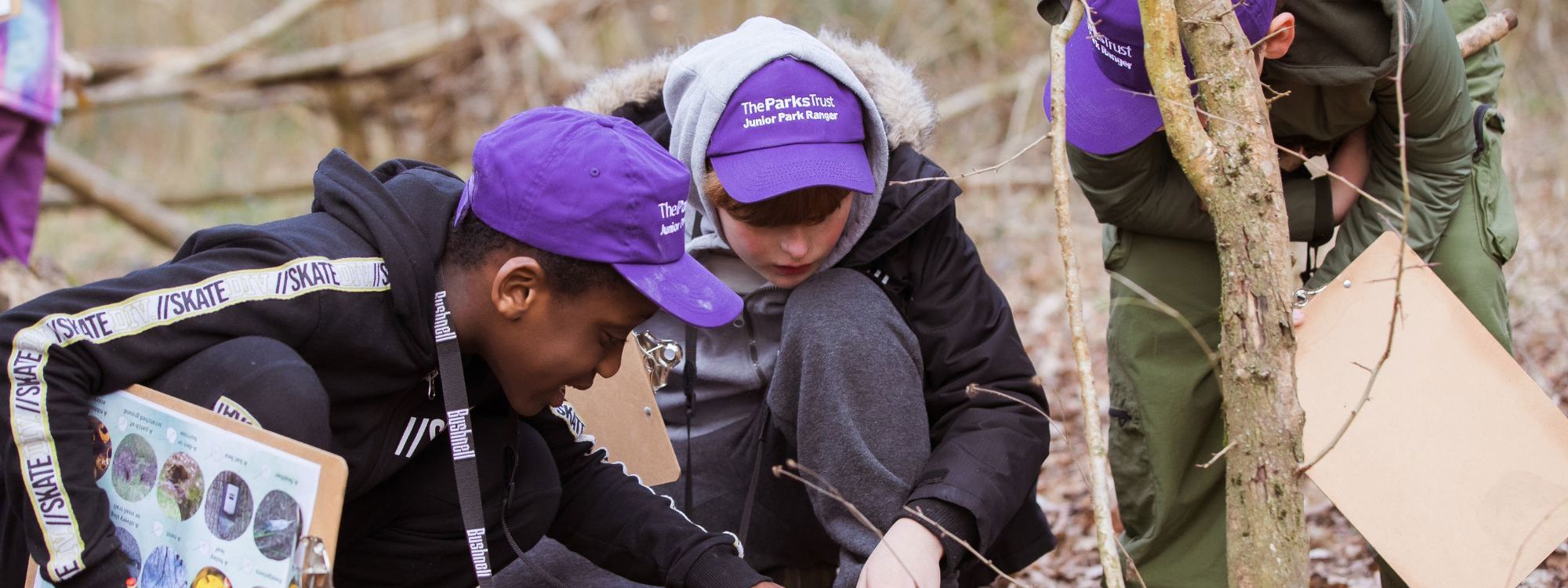 A group of children in purple hats is crouched down in an autumnal woodland. They have clipboards and pencils and are looking closely at an upturned log.