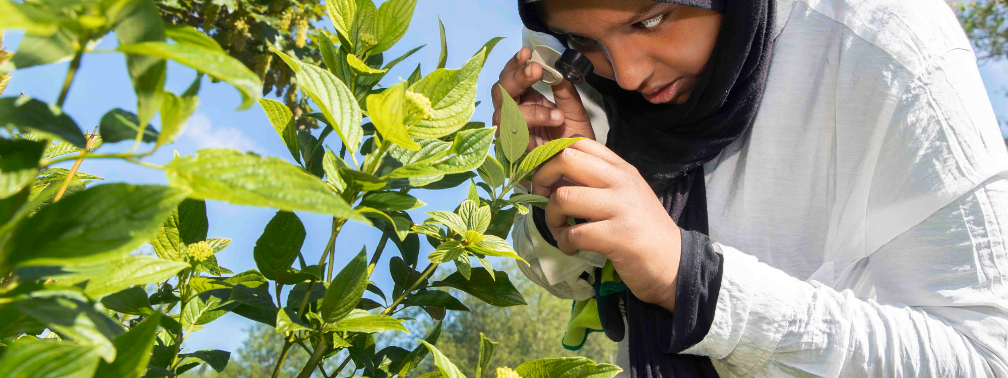 A female teenager inspecting a plant with a hand lens