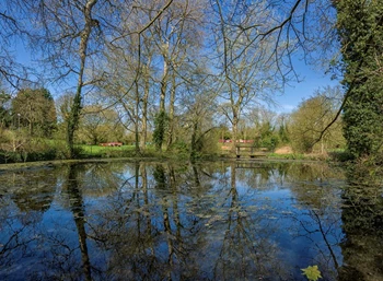Rflective pond Manor Park image.jpg