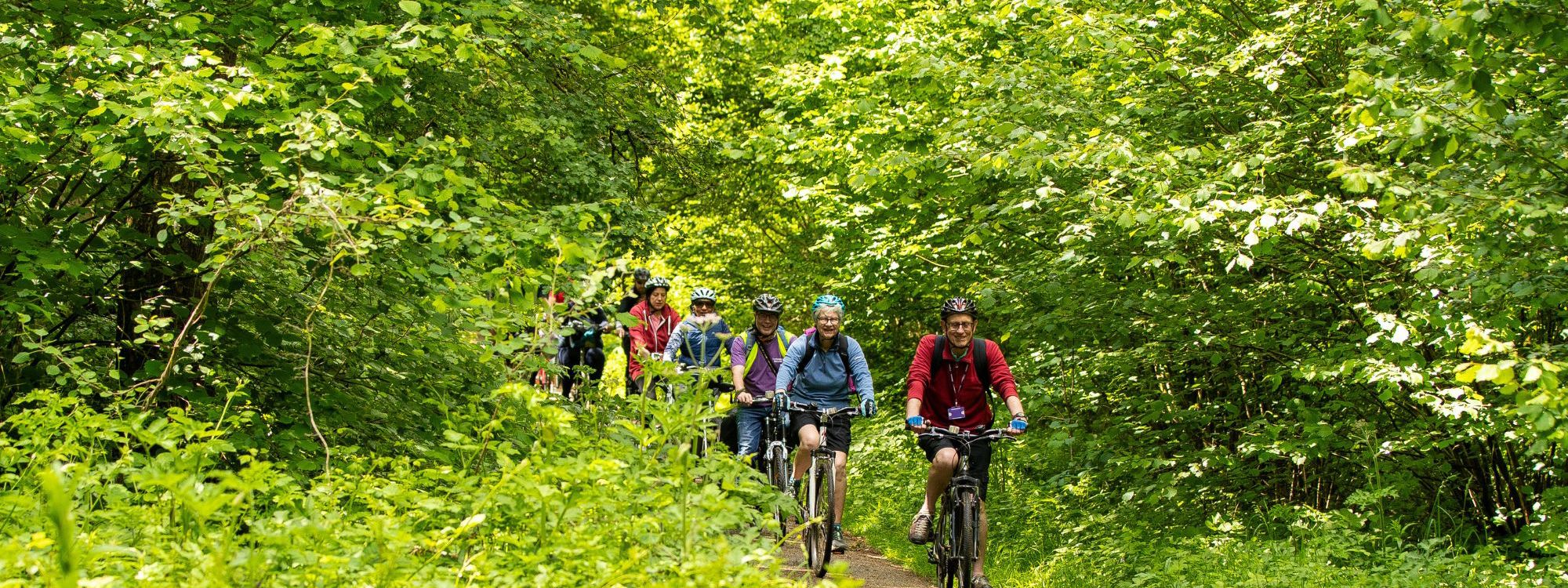 Group cycling along a path in the park