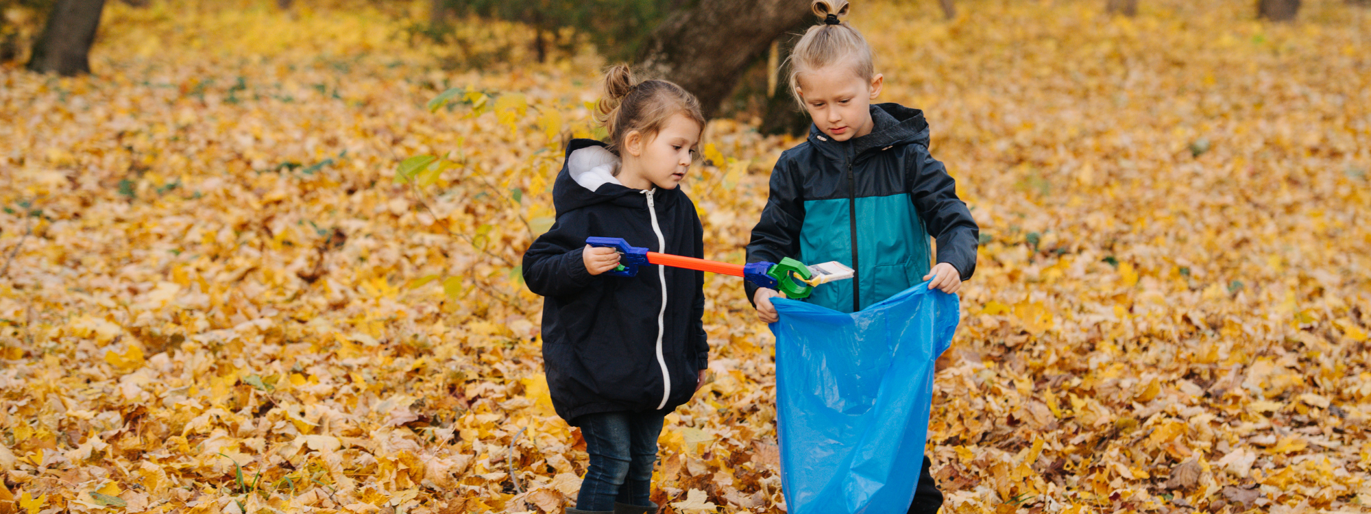 Two young children are stood in a pile of fallen leaves. One is holding a litter picker, putting some litter into the bag that the other child is holding. 