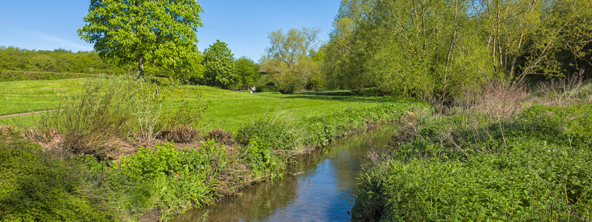 A river running through a countryside scene. The grass and trees are green, sun is shining and the sky is blue and clear