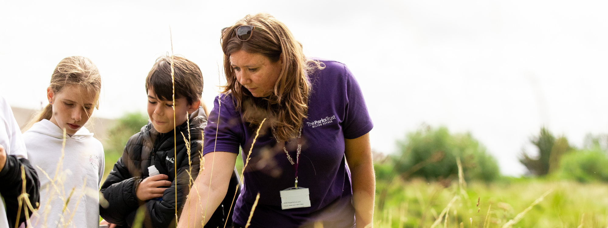 Some children and a leader stand in long grass looking for insects. The leader is pointing at something in the grass, the children are looking with curious and excited faces.. 