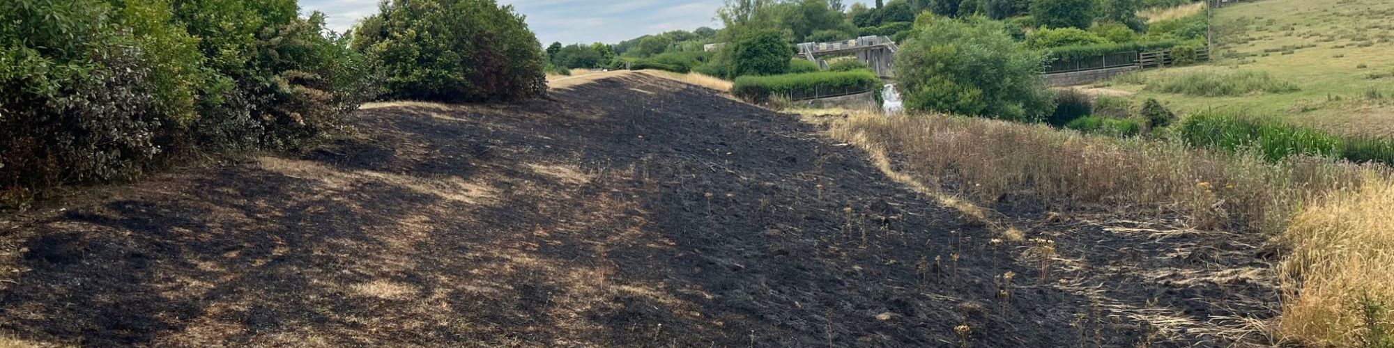 Burnt grass bank in Milton Keynes park