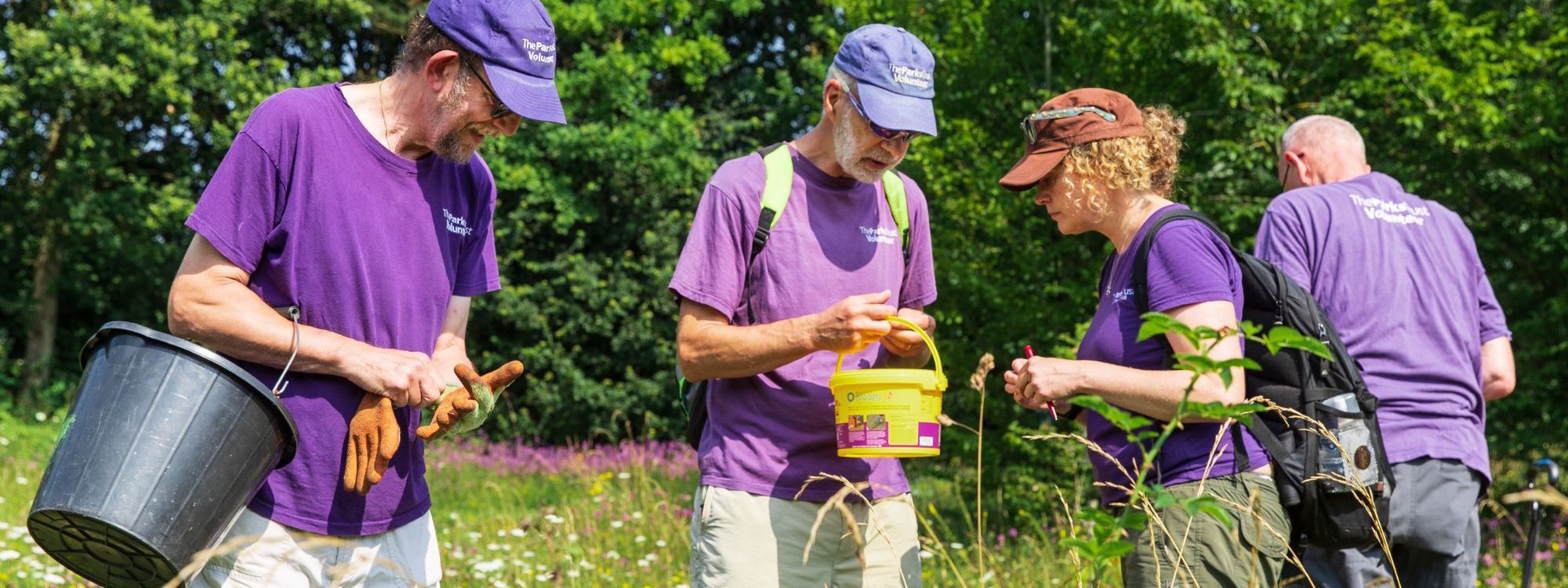 Group of The Parks Trust volunteers collecting seed from the parks