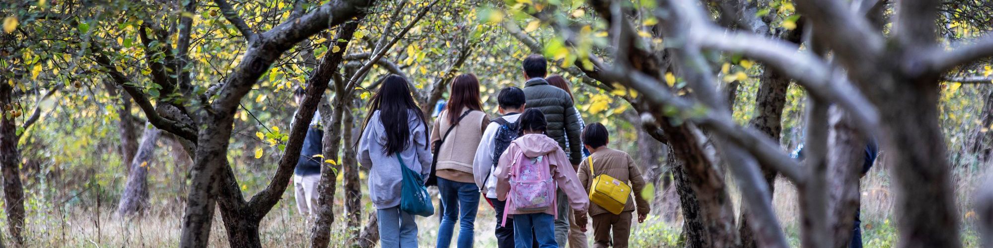 Family walking through the orchard