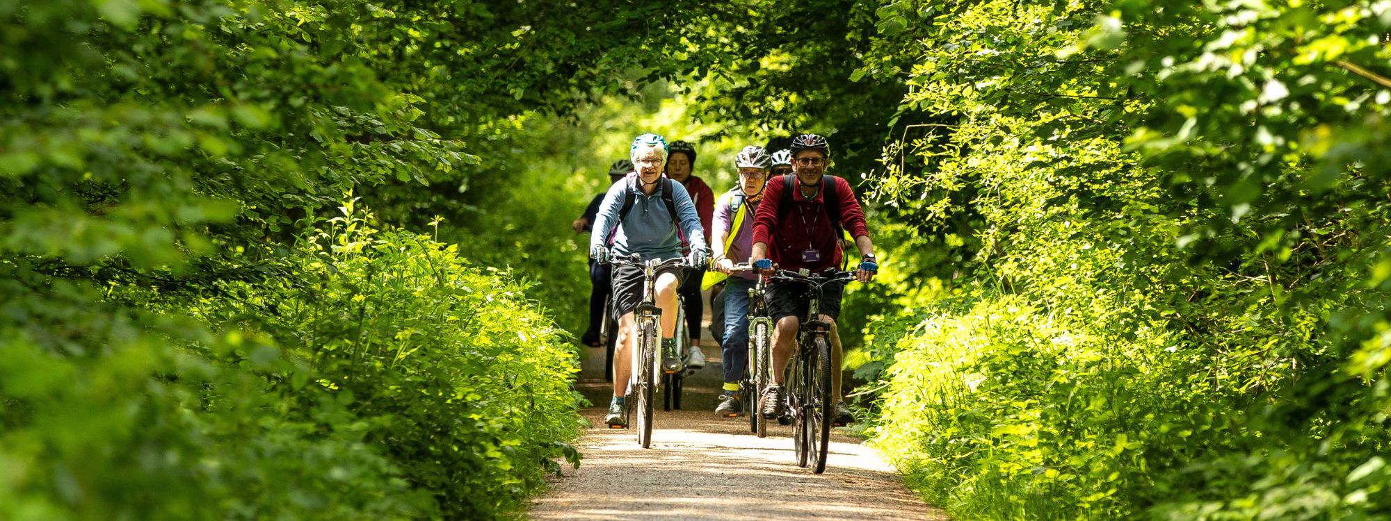 A small group of people cycling towards the camera in sunlit woodland