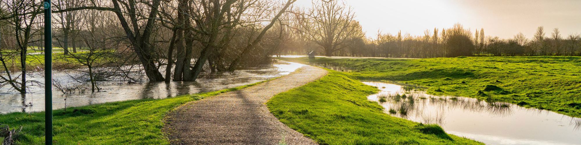 River ouzel flooded across park