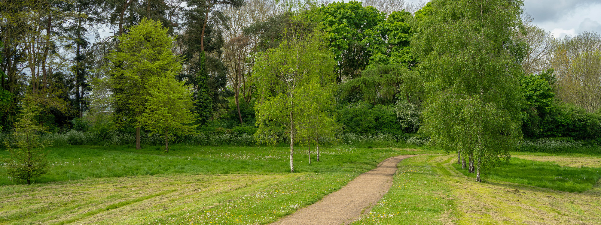 Trees and grass at Kents Hill Park.