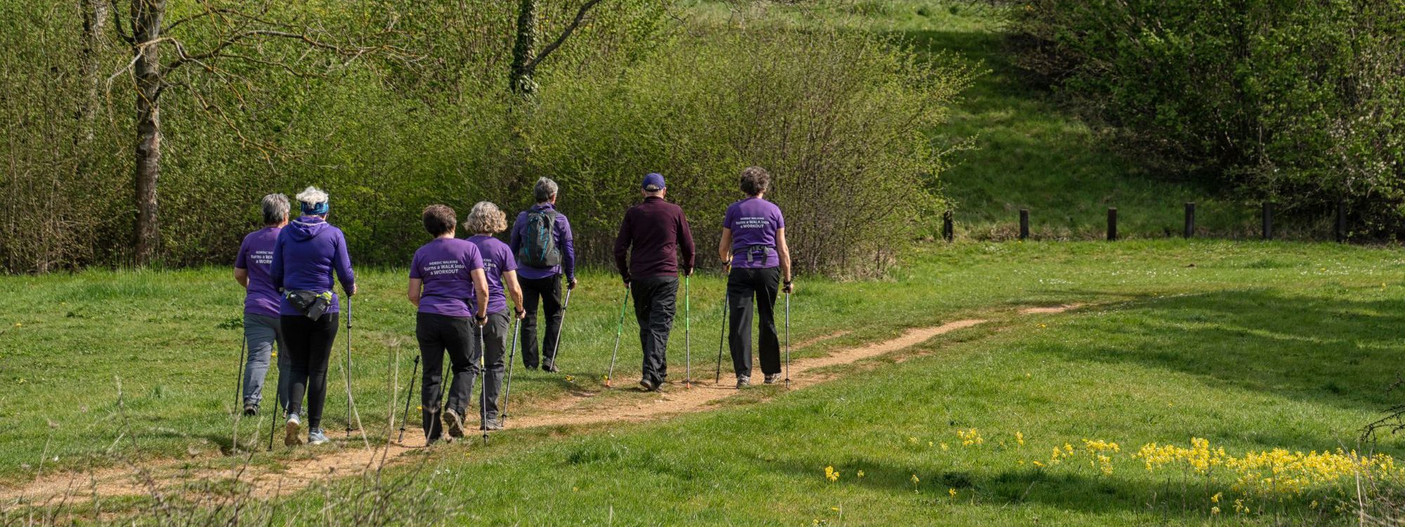 Group of people walking with poles in green parkland