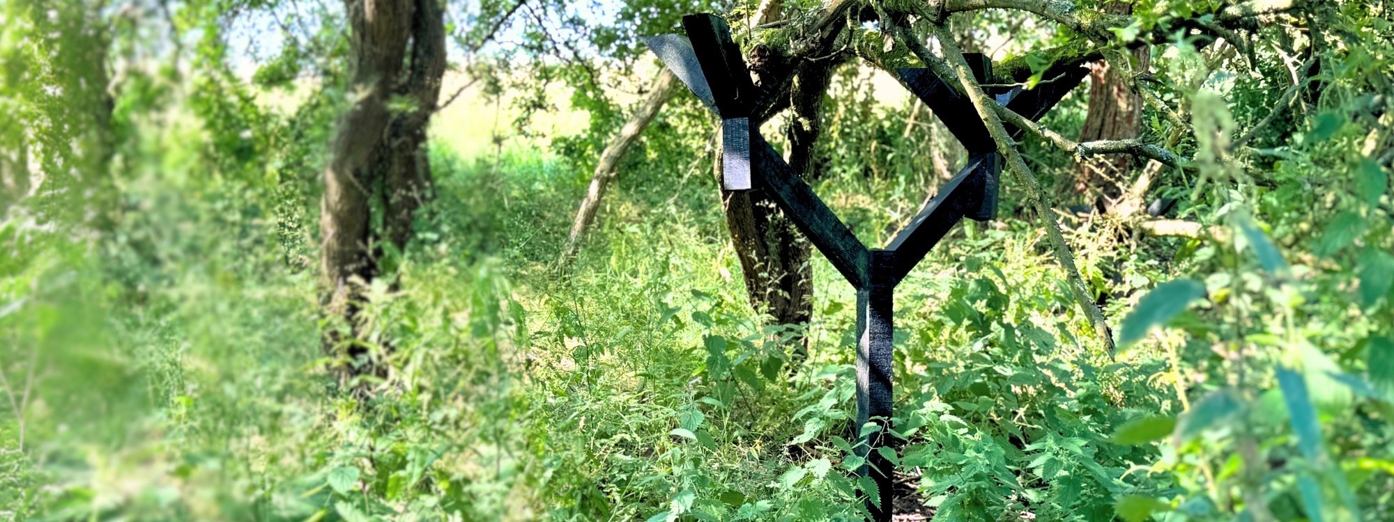 a black wood structure holding up collapising braches on the tree. the art is best described as a vertical pole that splits half way creating a treacle shapes with an open top for the branch to lay in its centre.