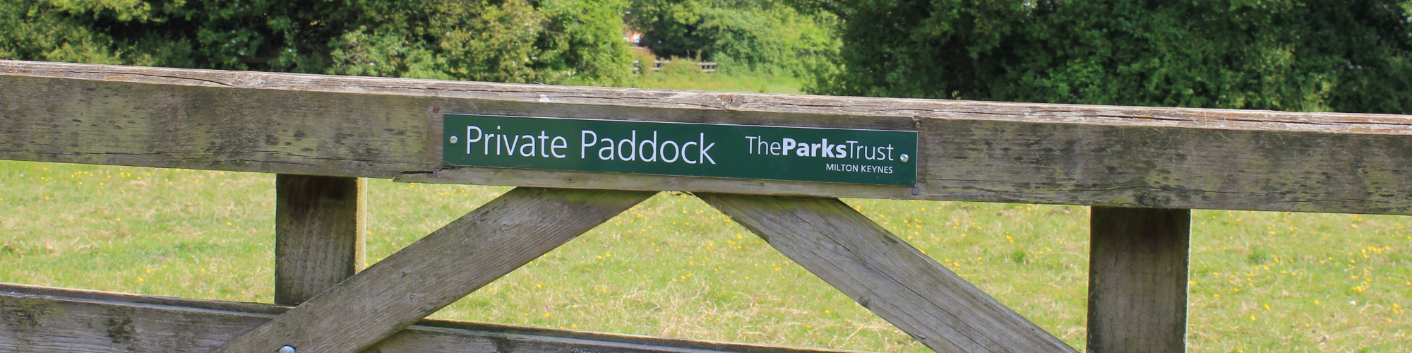 Paddock gate with trees in the background