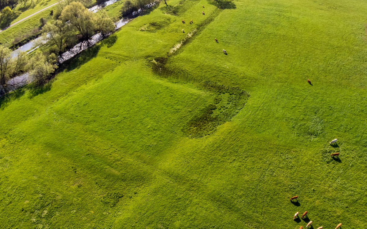 Shows outline of manor house and earthworks