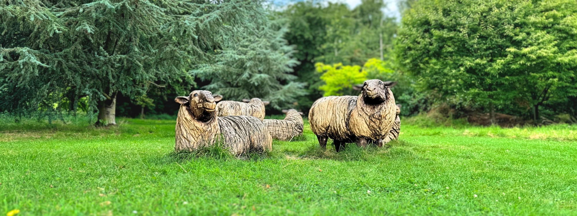  lifelike wooden sheep sculptures are positioned among green grass and trees in an outdoor park setting.