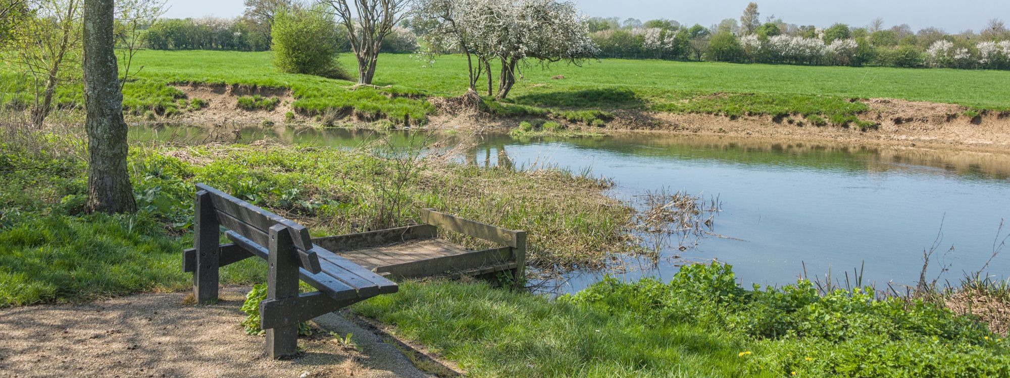 Bench overlooking pond in Millfield in Milton Keynes