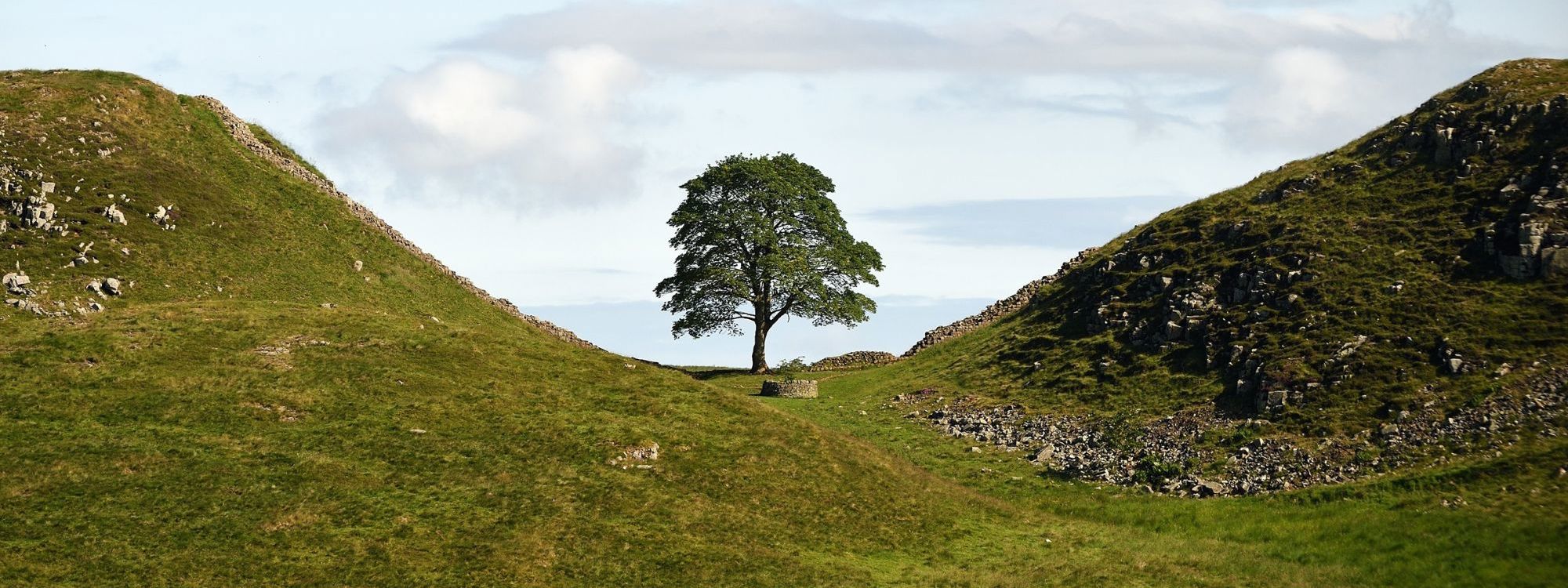 BEFORE The Illegal Felling The Sycamore Gap Tree On Hadrian's Wall In Northumberland ©National Trust Images John Millar