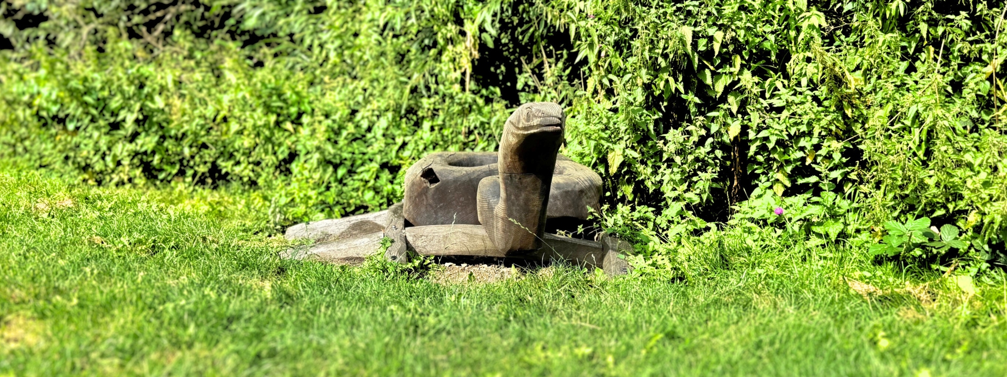 A wooden sculpture of a snake is placed on a grassy area, surrounded by dense, green foliage in the background.