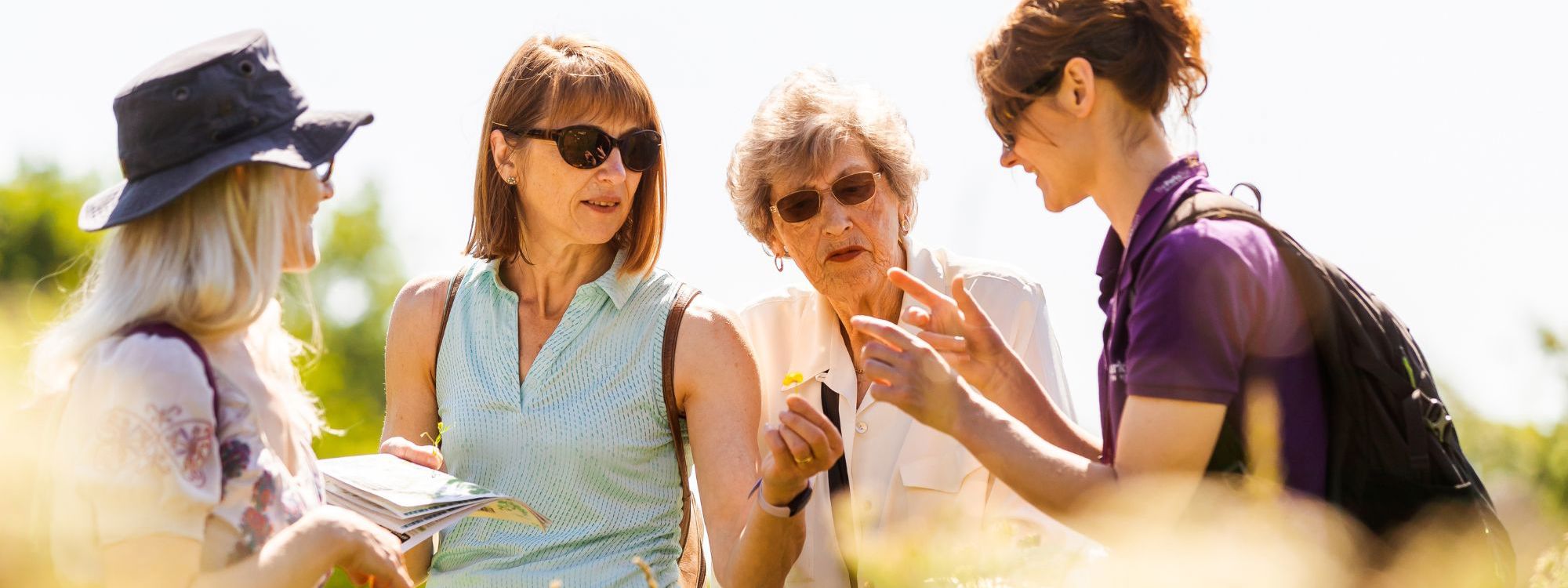 Adult group identifying wildflowers