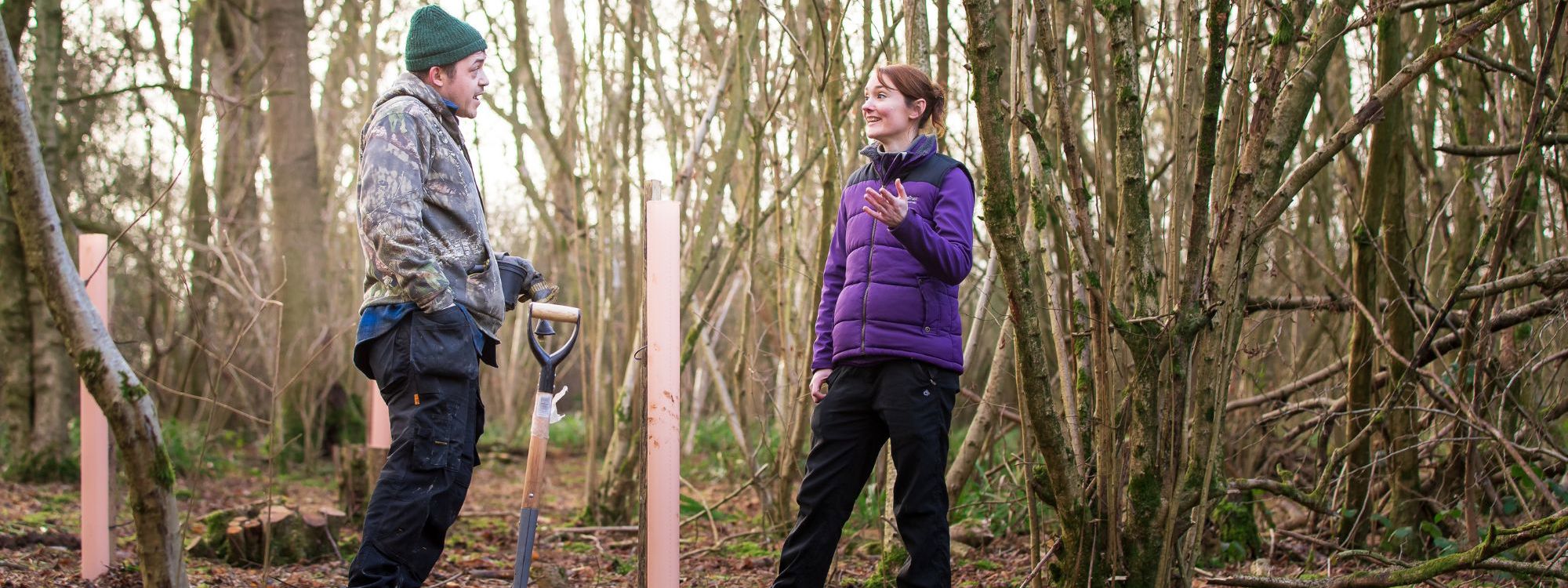 People talking whilst planting trees in ancient woodland in Milton Keynes