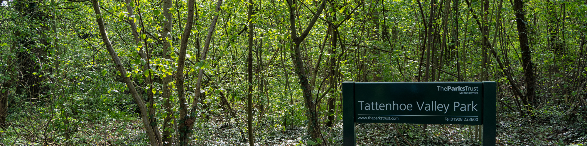 Image of trees and sign at Water Spinney in Tattenhoe Valley Park