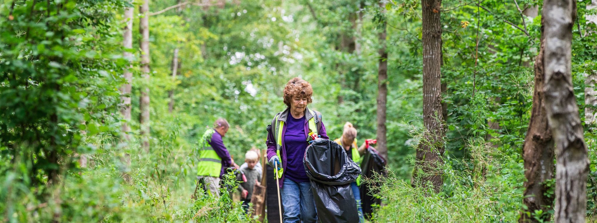 Person walking through woodland searching for litter to pick up