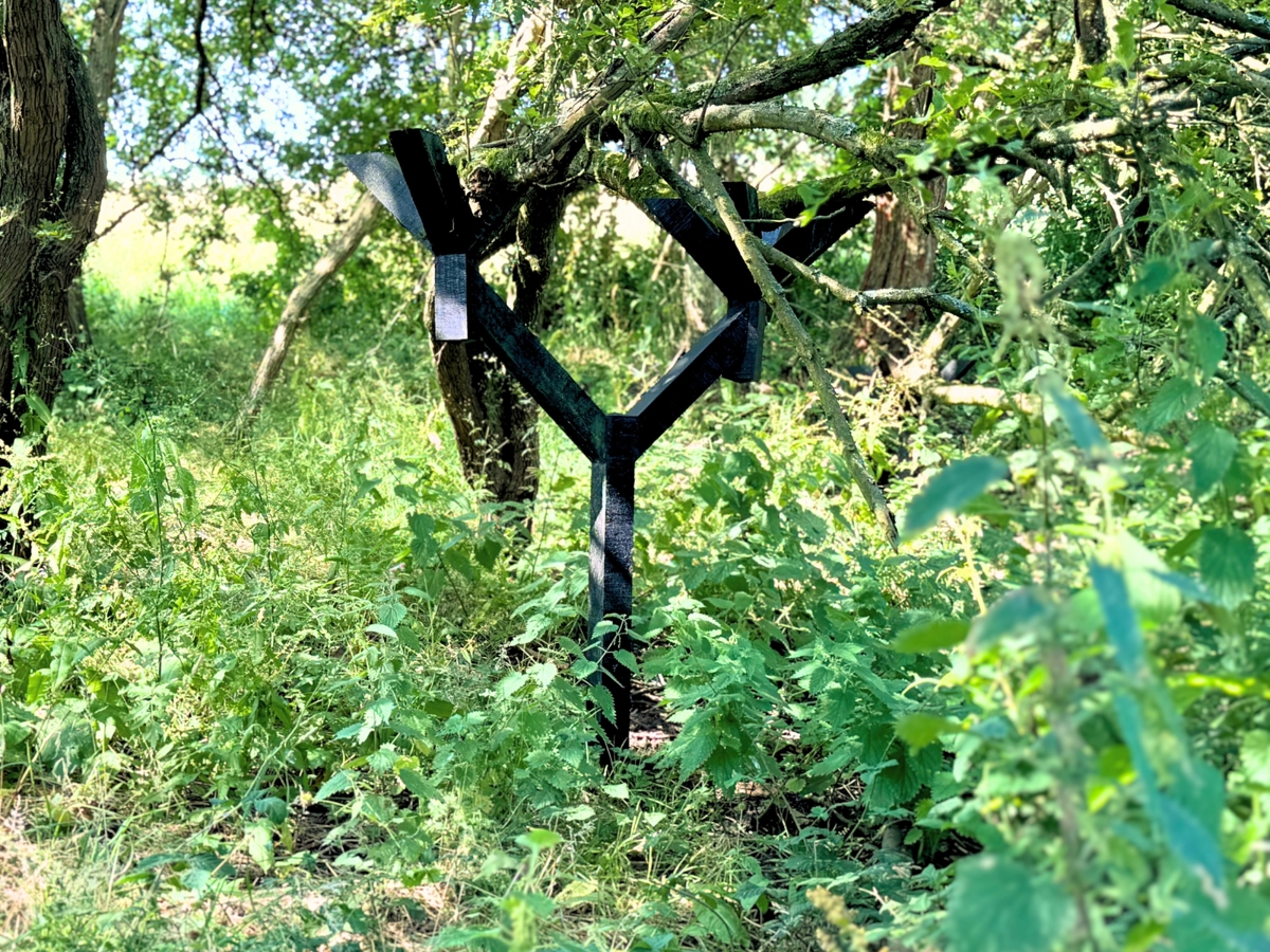 A black wooden sculpture resembling two branching structures stands amidst dense greenery and tall grass in a wooded area. The sculpture is surrounded by trees and foliage, blending into the natural environment.