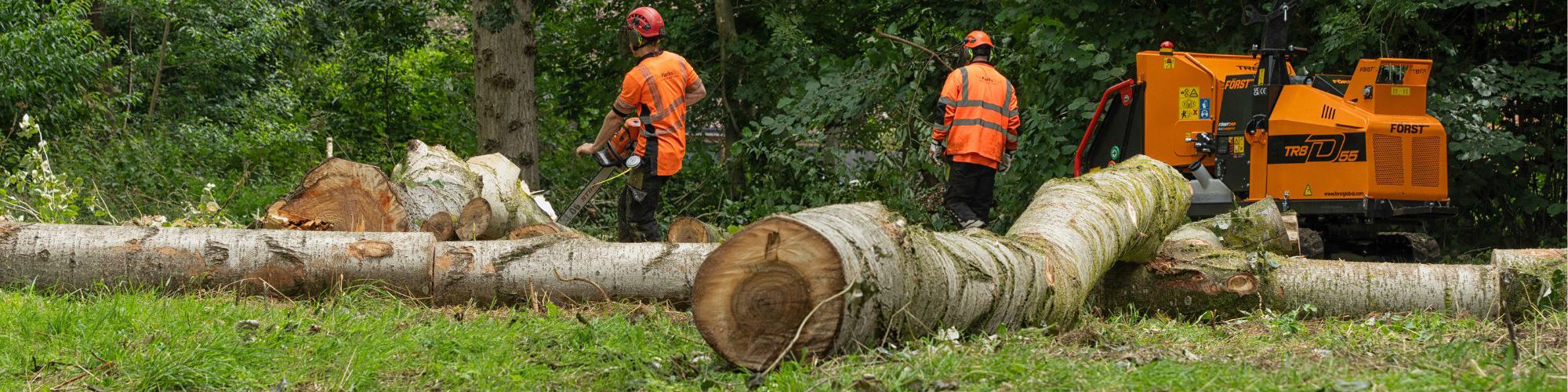 Parks Trust team members carrying out tree thinning work in Milton Keynes park