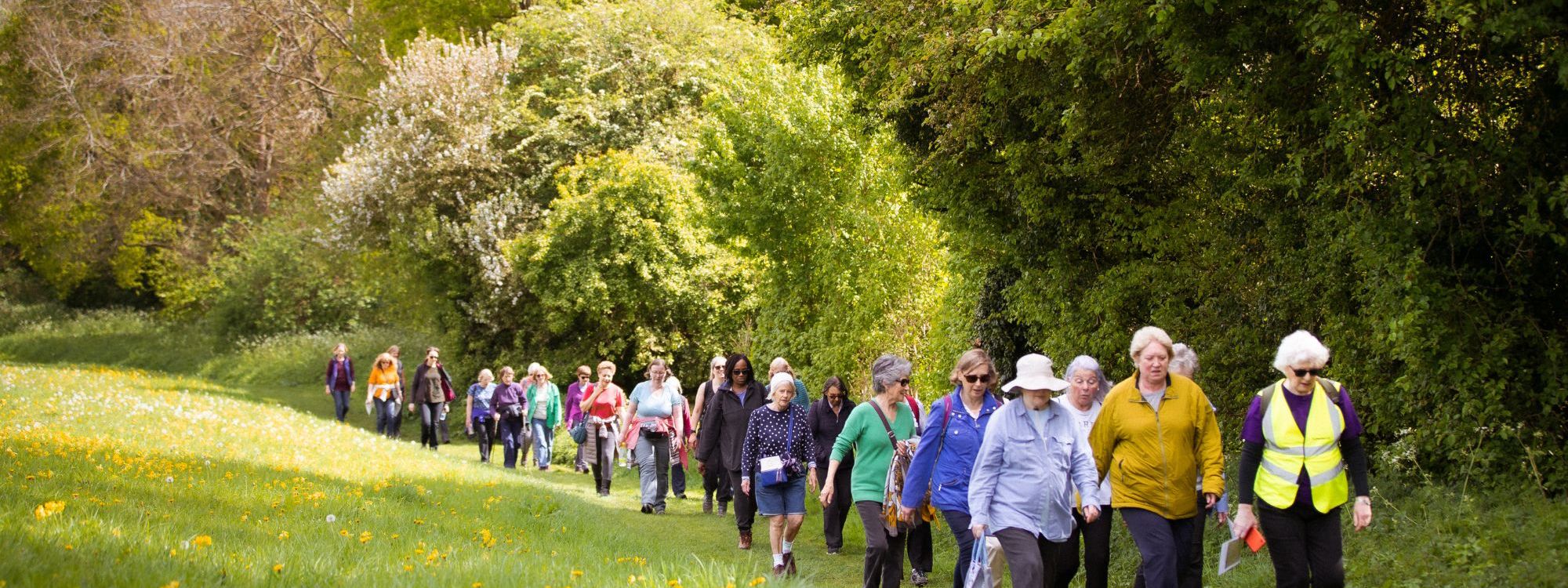 Women walking along path in summer