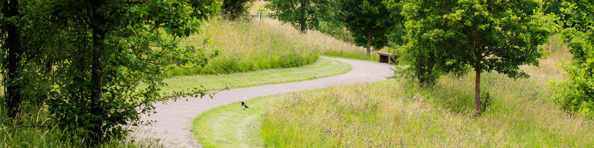 Leisure route path through woodland in Milton Keynes