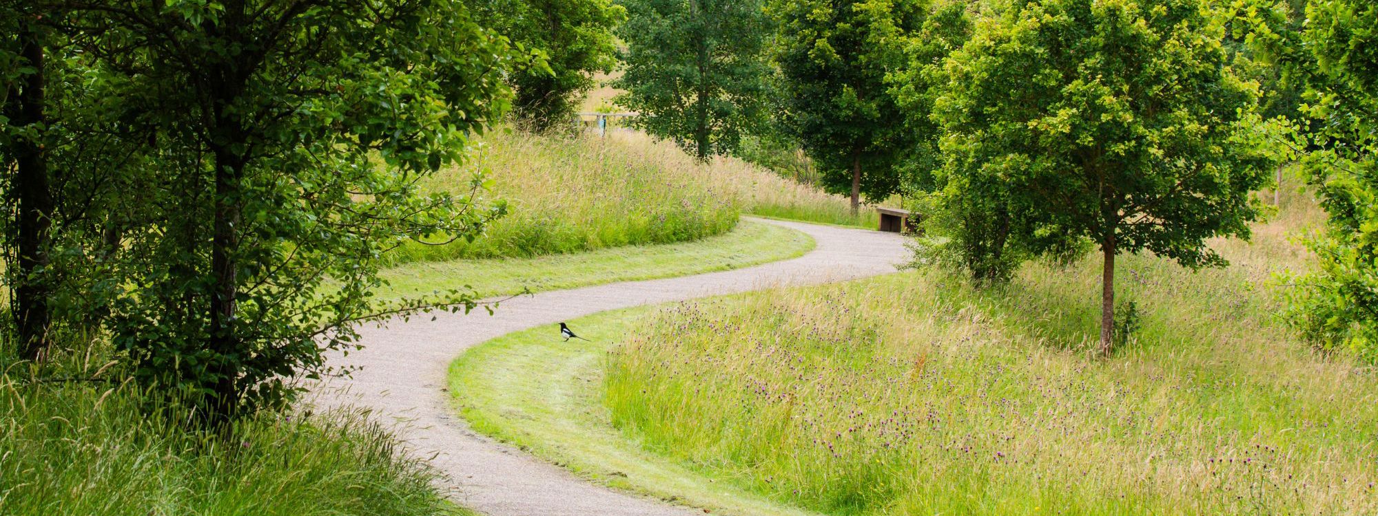 Leisure route path through woodland in Milton Keynes