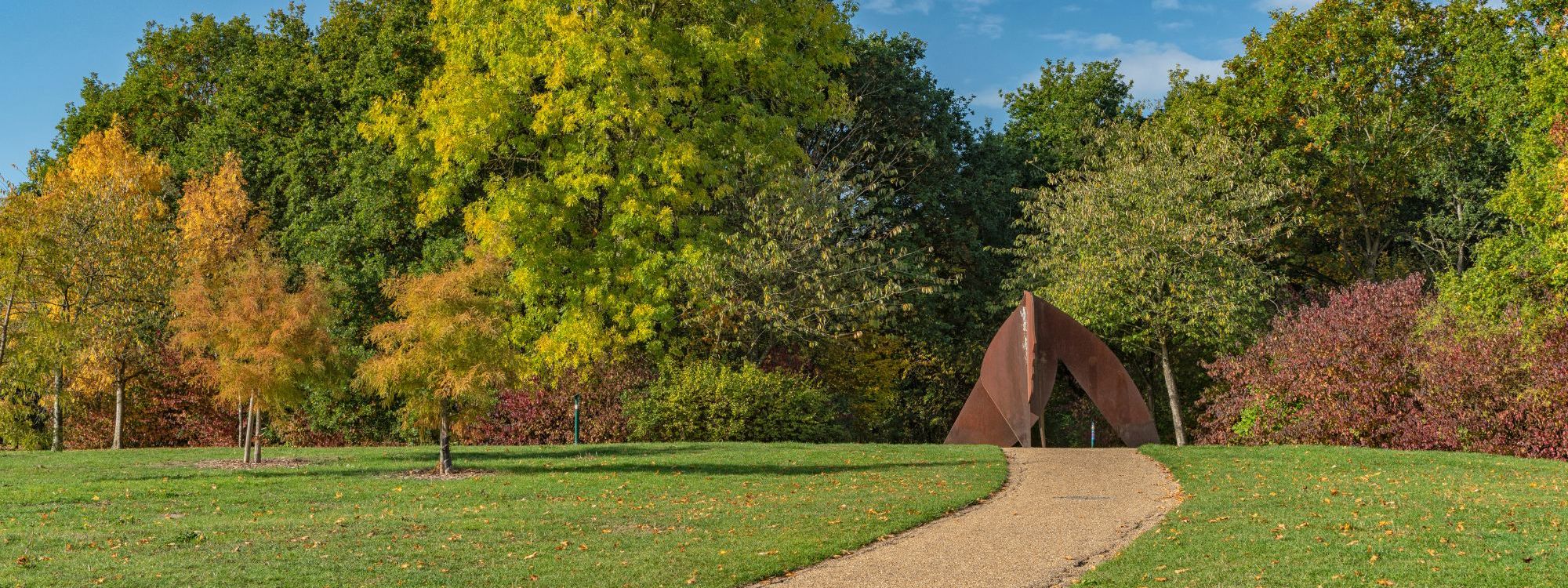 Tree Species Near Campbell Park With Head Sculpture