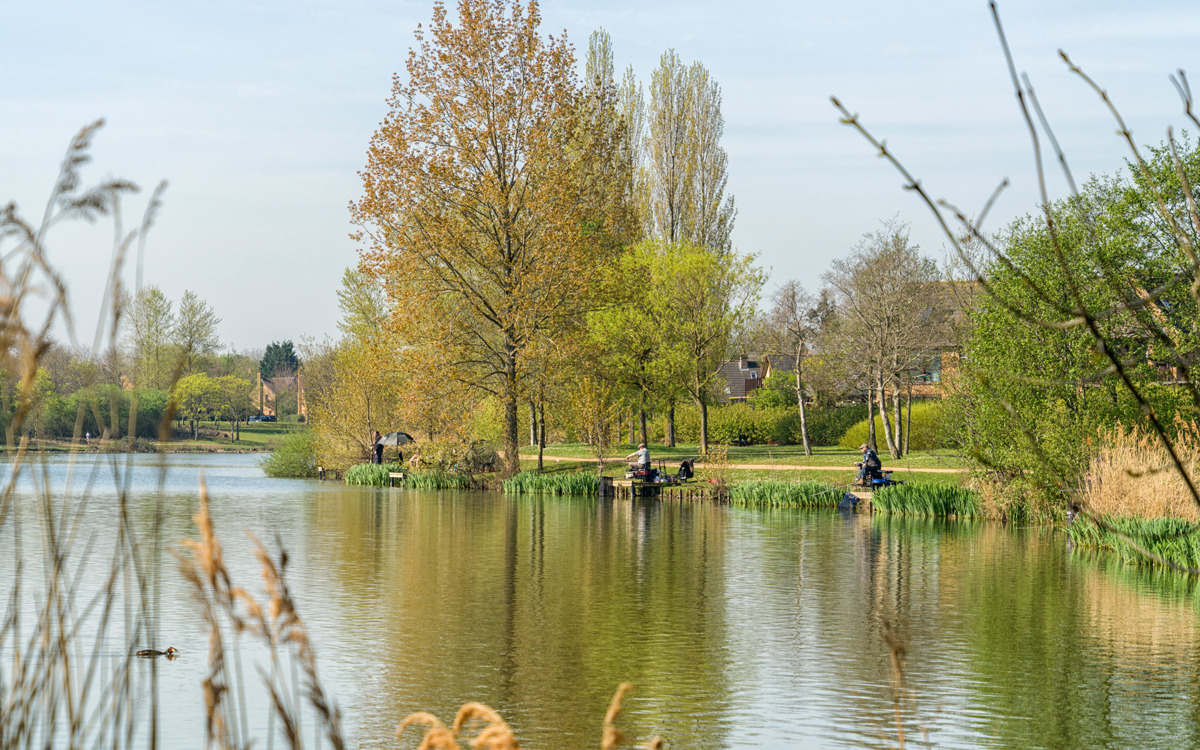 People fishing at the lakeside, Furzton Lake.