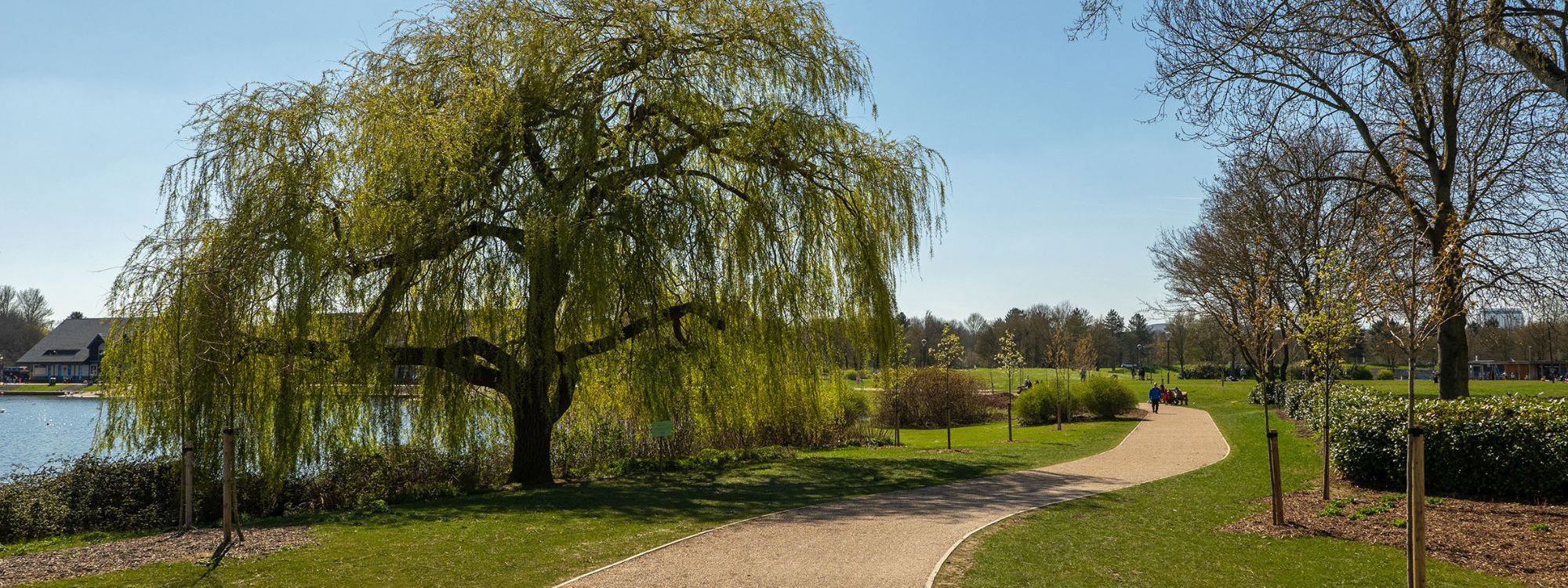 Accessible pathway around Willen Lake