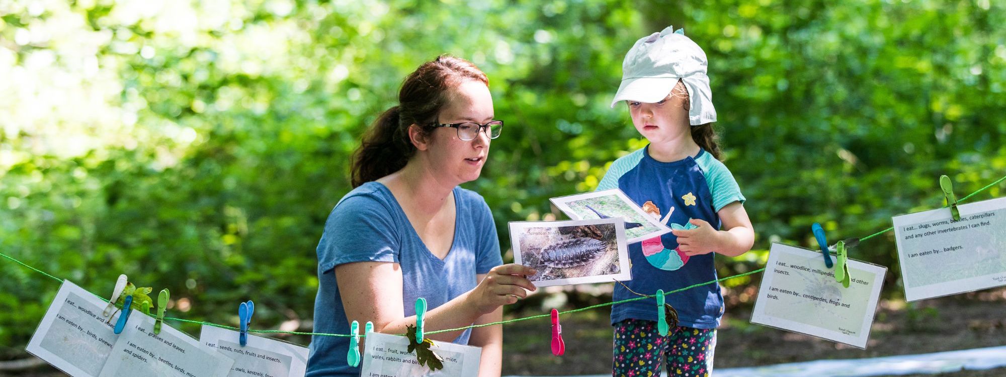 Outdoor education in the woods