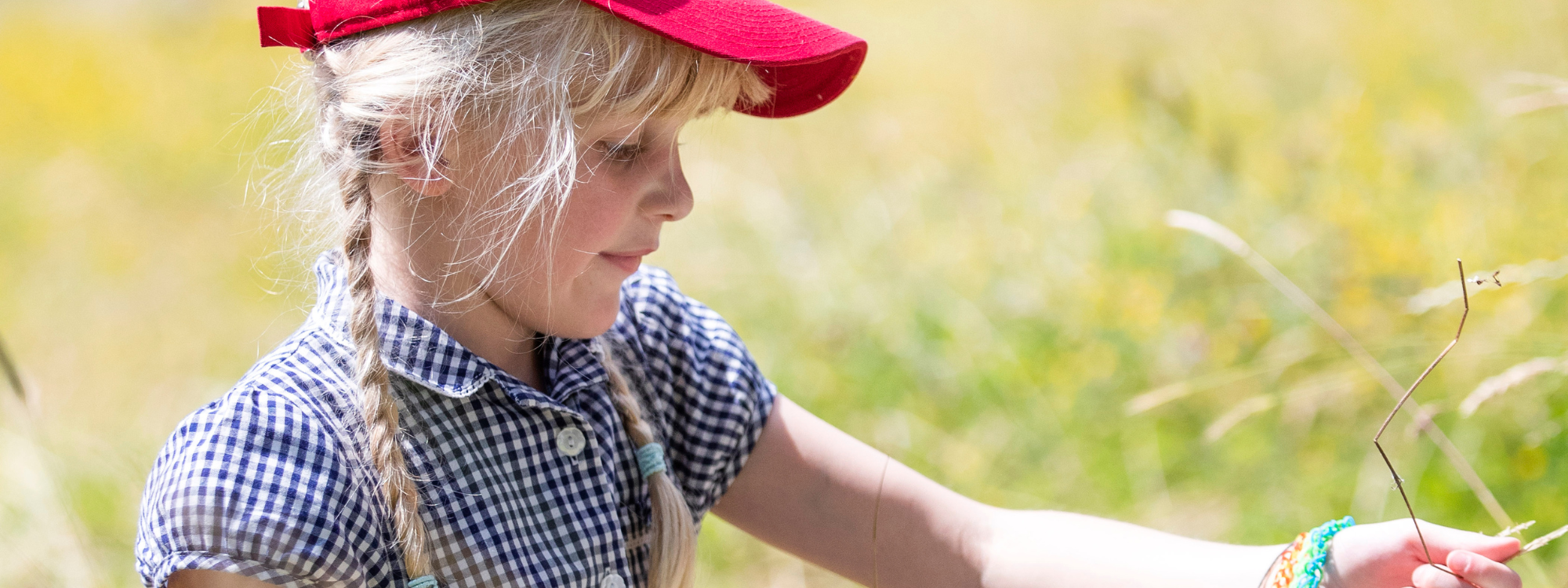 A young girl sitting in a sunny field of long dried grass, holding some in her hand. 