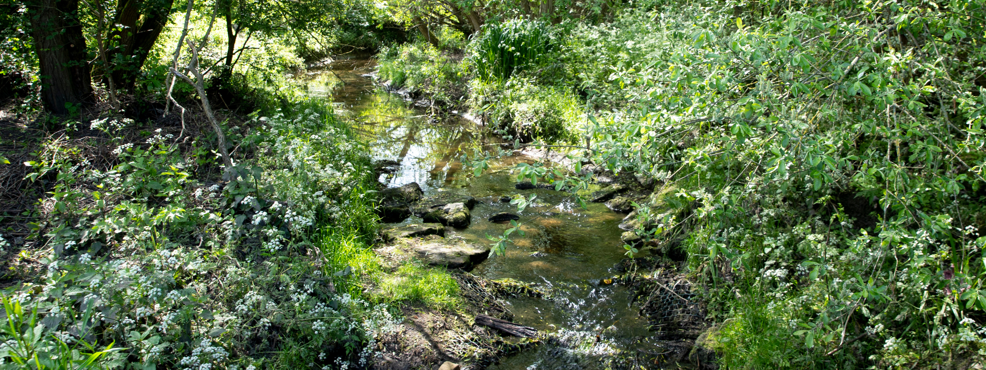 A river with boulders 