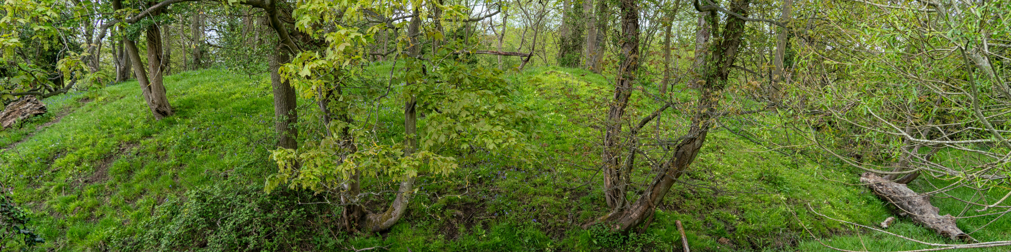 Image of motte (mound of earth) at the Toot