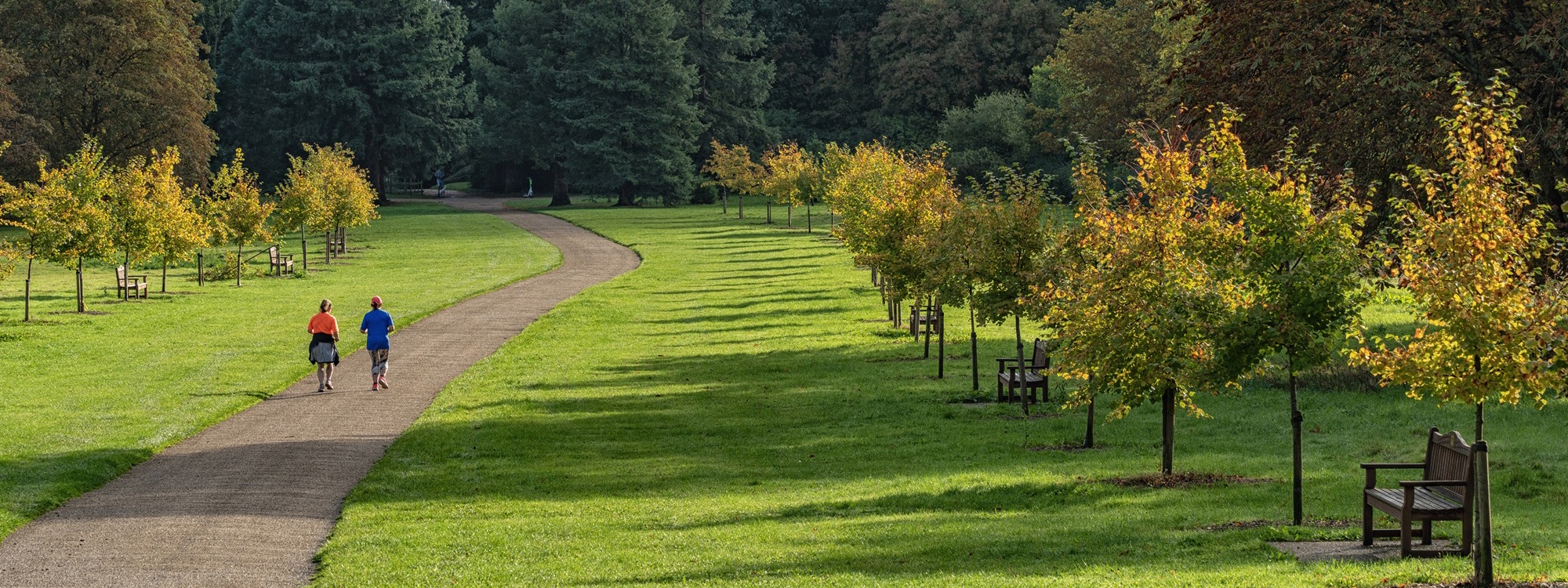 People running in park during autumnal season