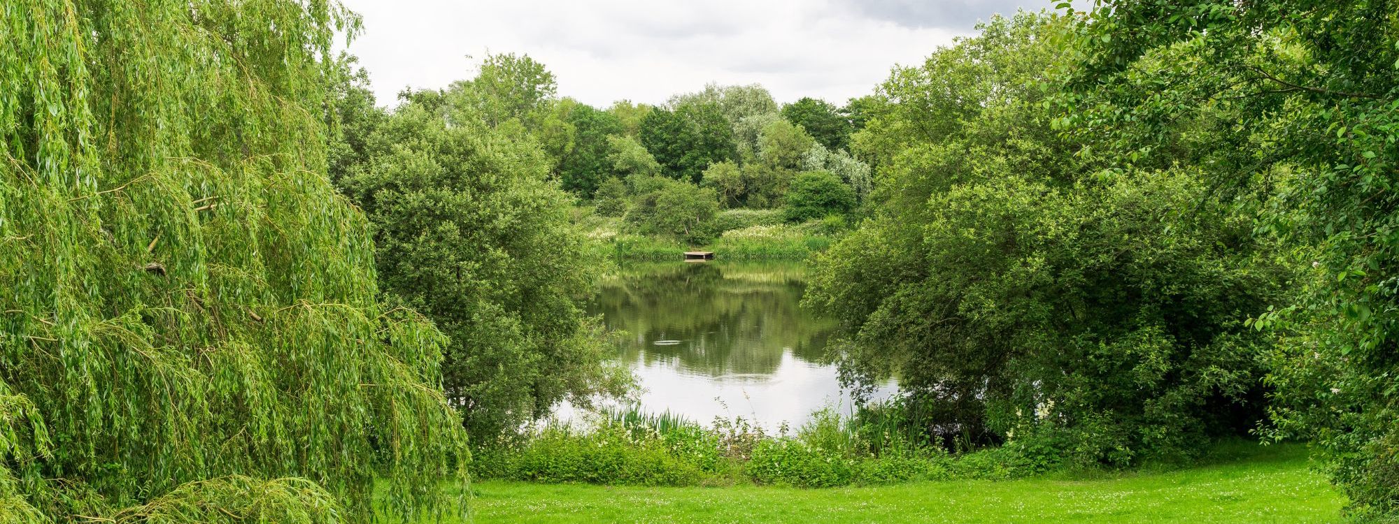 View of Lodge Lake through trees