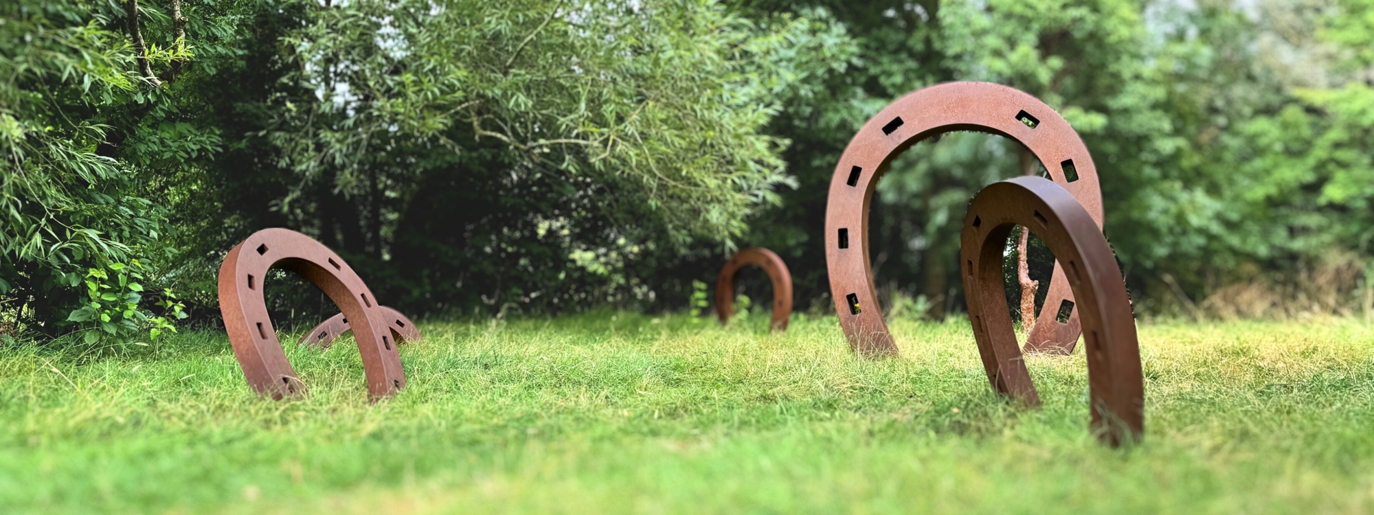 This image shows several large, rust-colored metal horseshoes standing upright on a grassy field. The horseshoes are partially buried in the ground and vary in size. The background is filled with dense green trees and foliage.