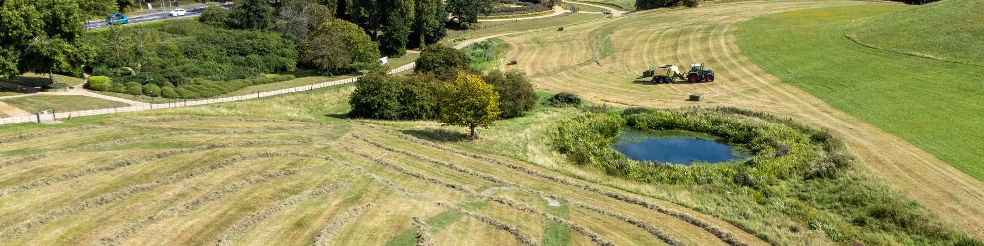 Tractor cutting hay in Campbell Park next to pond