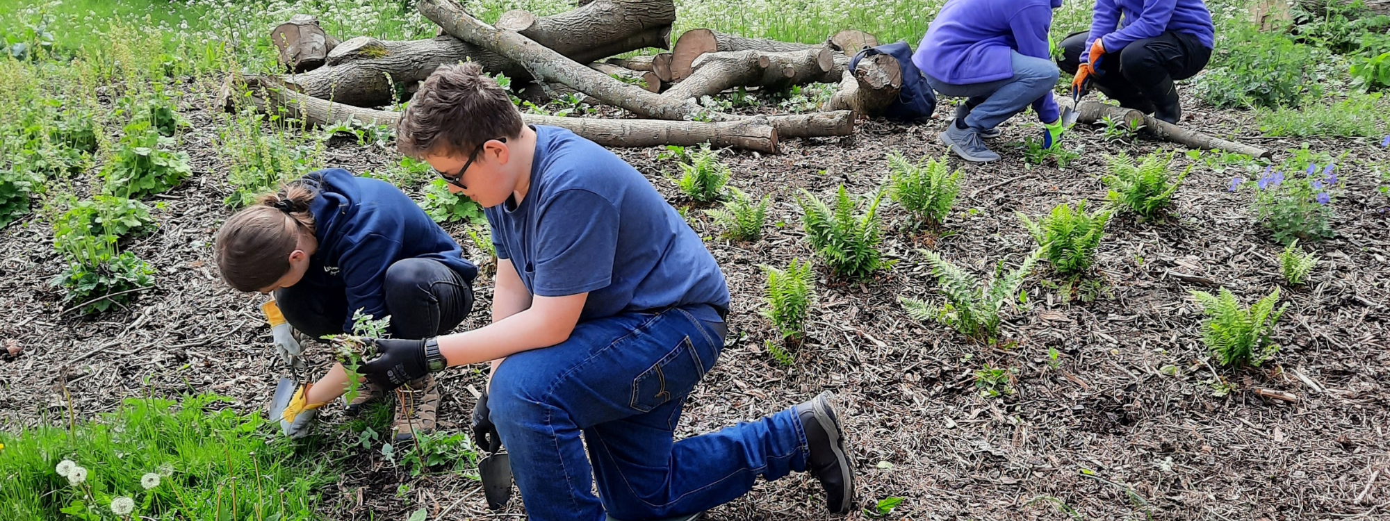 teenagers removing weeds from a flower bed