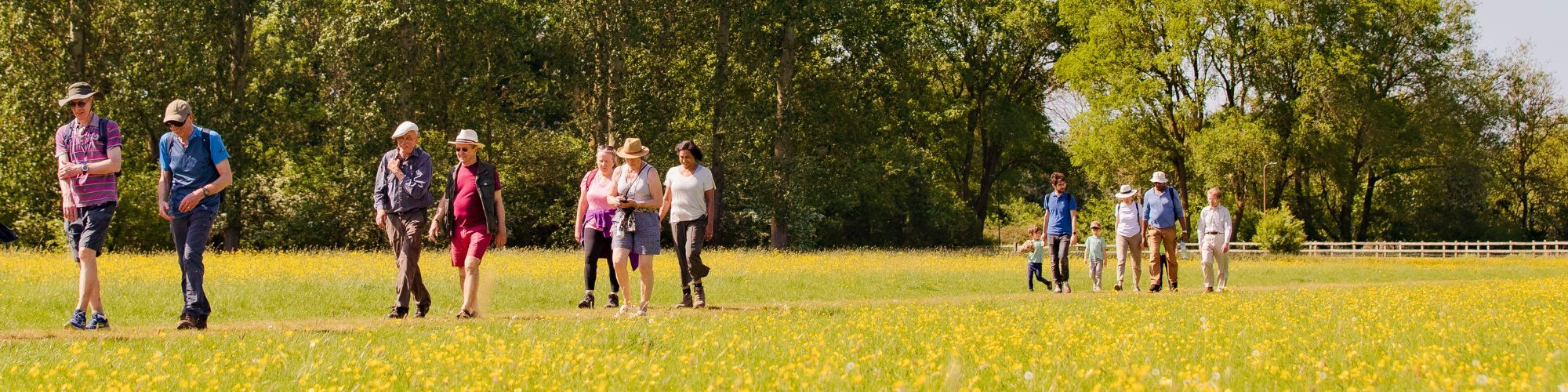 Families and friends walking through Milton Keynes park in summer