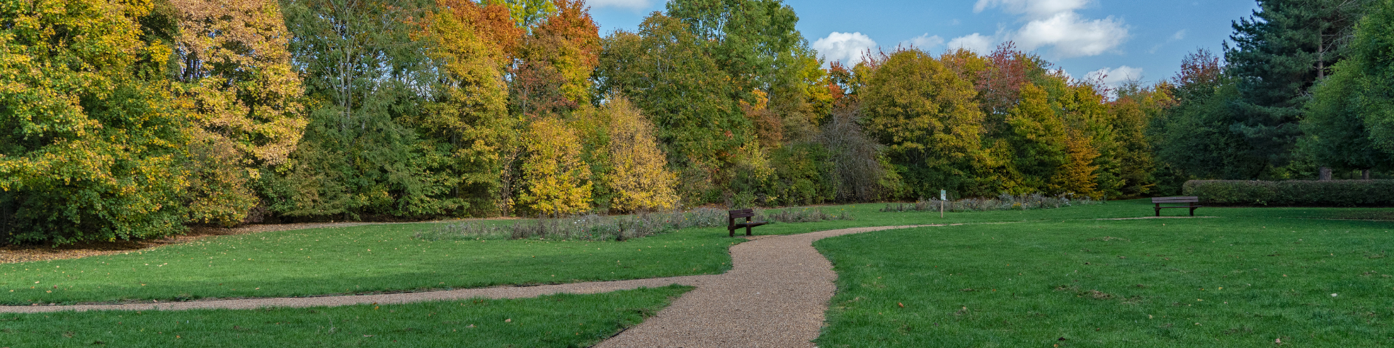 Meadow area with winding path