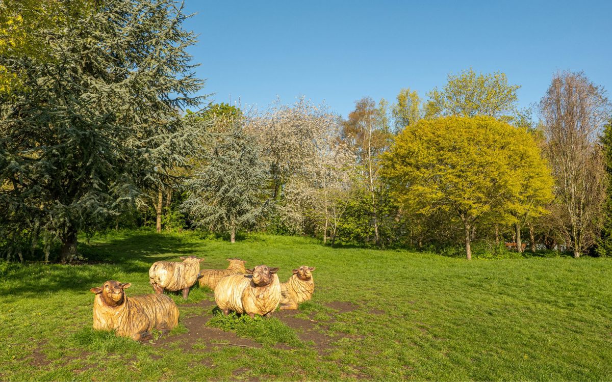 Wooden sheep sculptures with trees behind