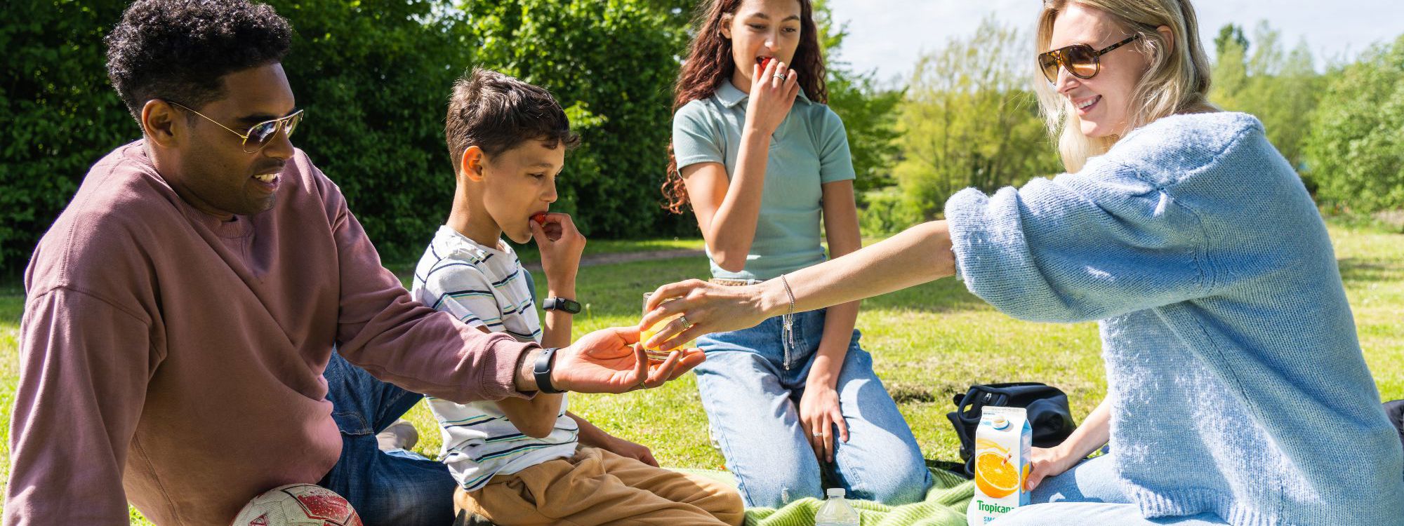 Family Having A Picnic In The Parks